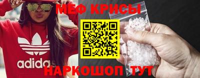 гашик Сланцы
