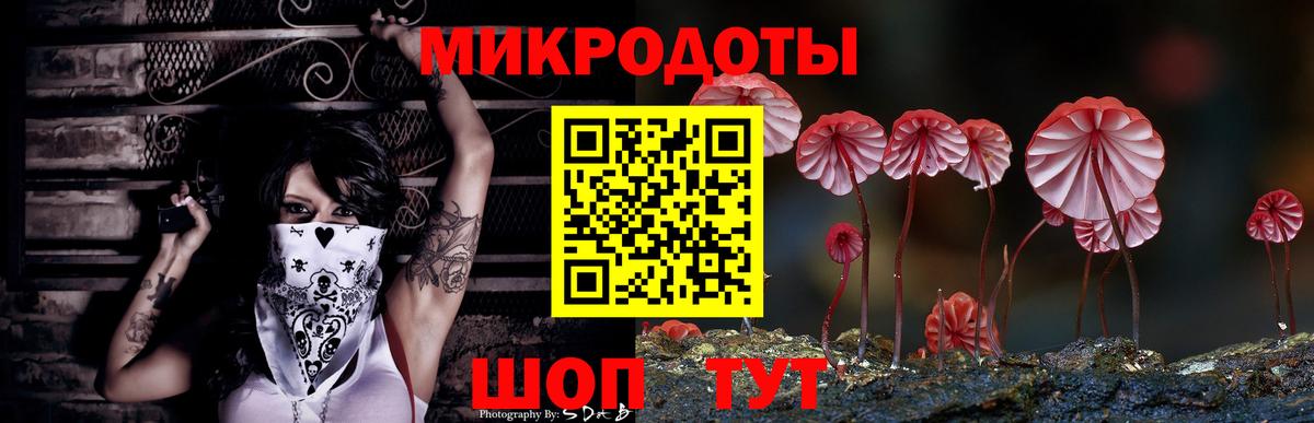 Печора  Псилоцибиновые грибы мицелий  как найти наркотики  Вход с VPN 