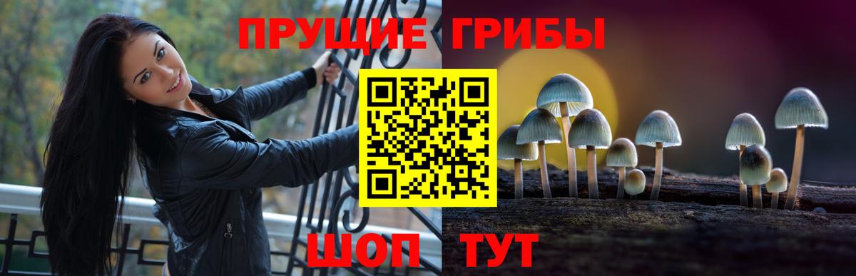 Галлюциногенные грибы мицелий Печора